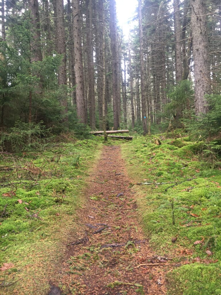 Let Them Play in the Rain: The Importance of Rainy Day Adventures for Kids